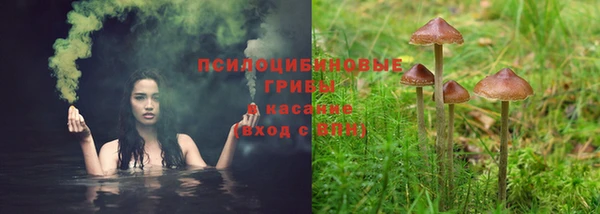 героин Алзамай