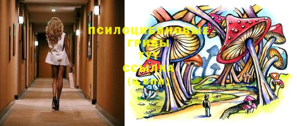 стафф Алексеевка