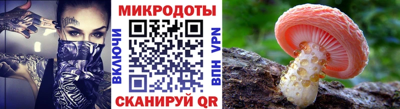 купить   Чистополь  Псилоцибиновые грибы GOLDEN TEACHER 